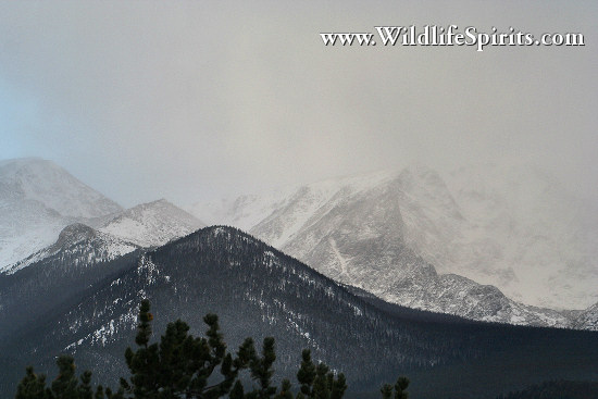 Click Picture to send as an  E-PostCard 64k 550x367